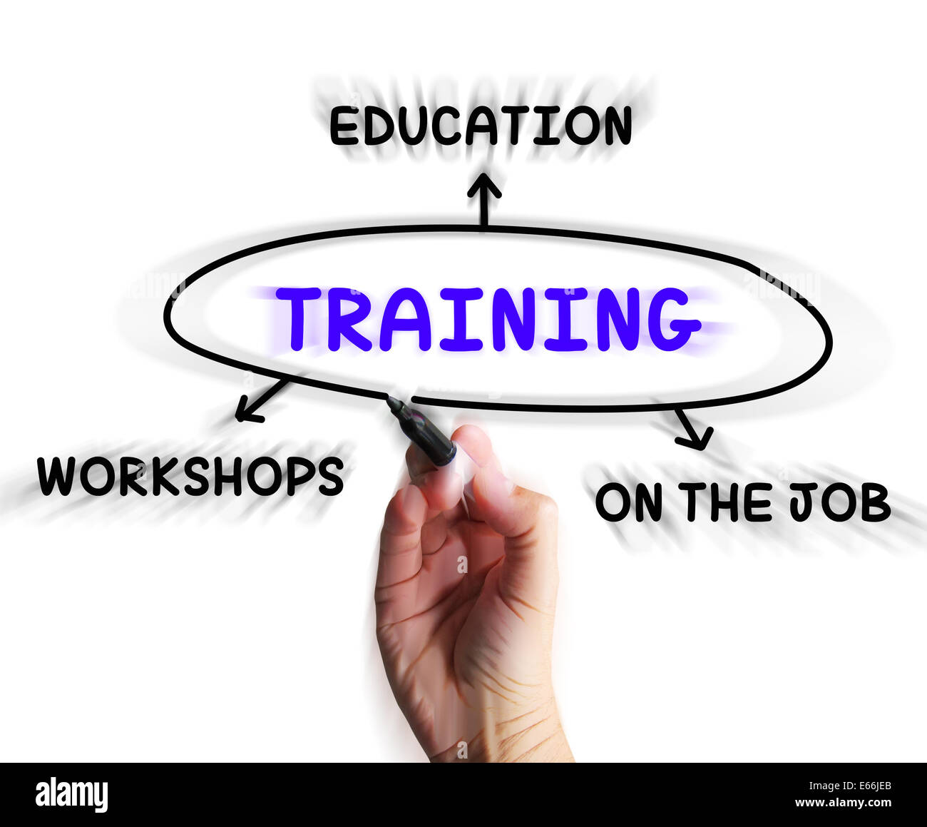 Training Diagram Displaying Workshops Groundwork And Educating Stock Photo