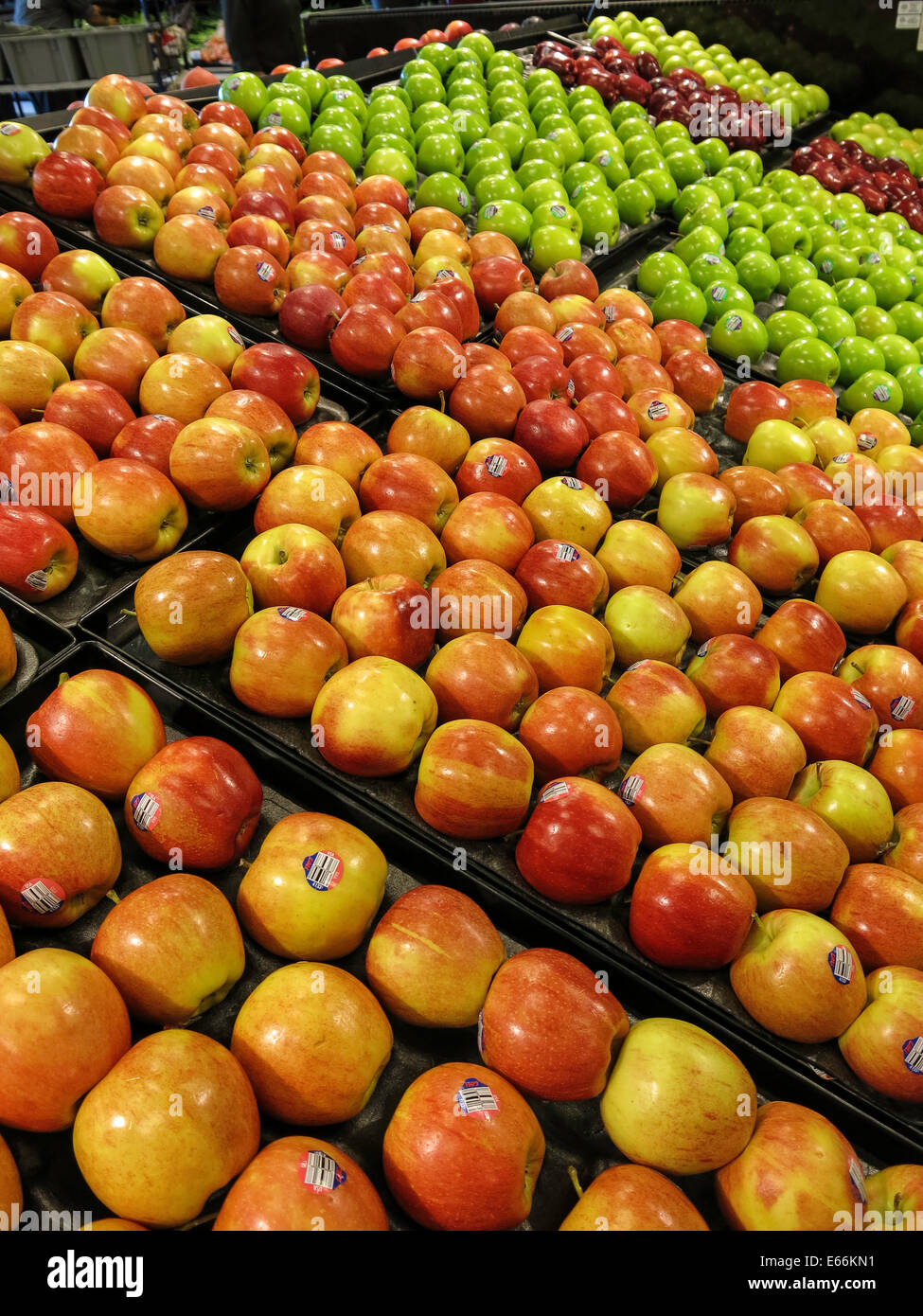 https://c8.alamy.com/comp/E66KN1/apples-in-produce-section-smiths-food-and-drug-store-in-great-falls-E66KN1.jpg