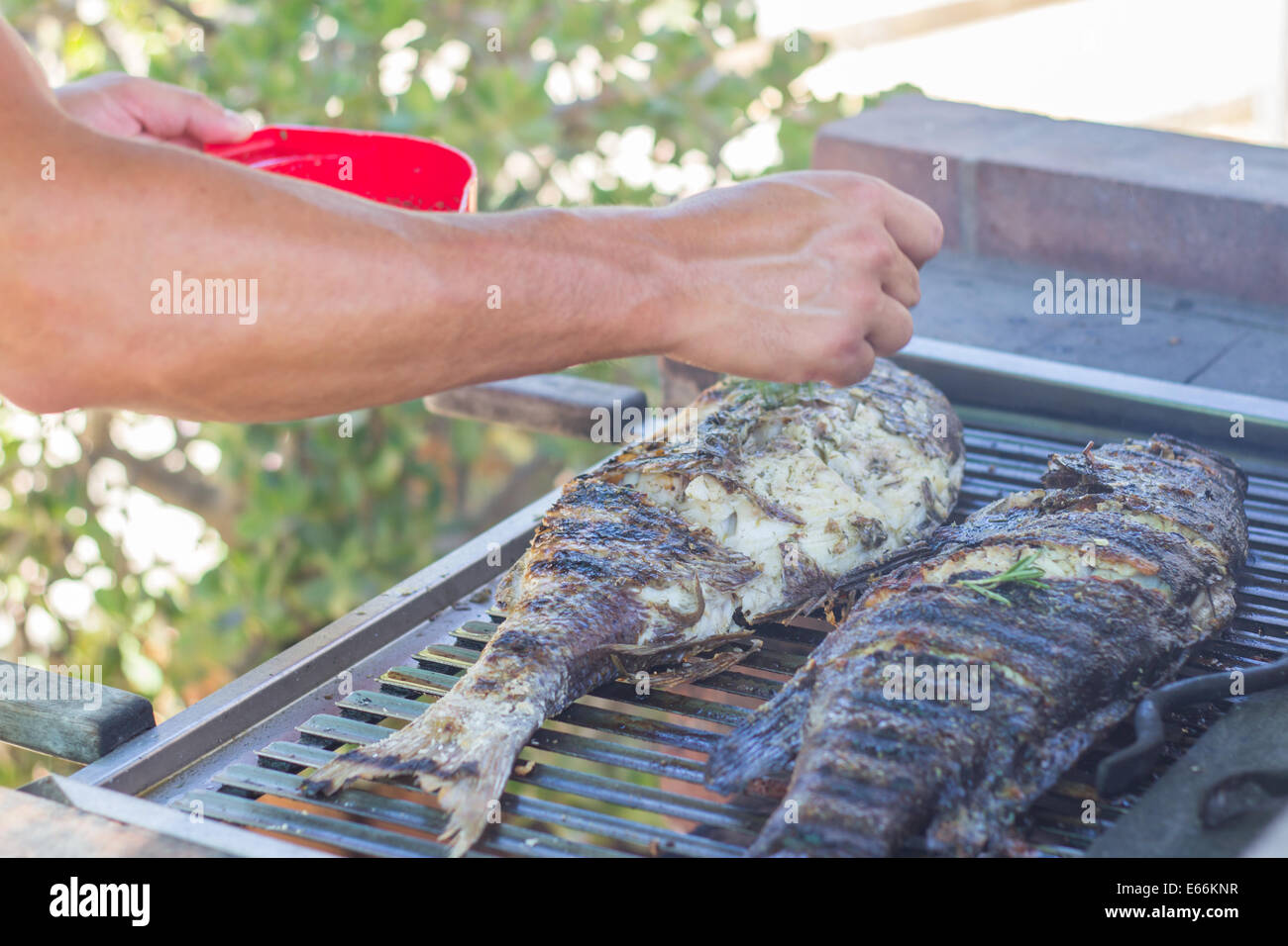 man preparing cooking fish grill hands closeup gilled Stock Photo