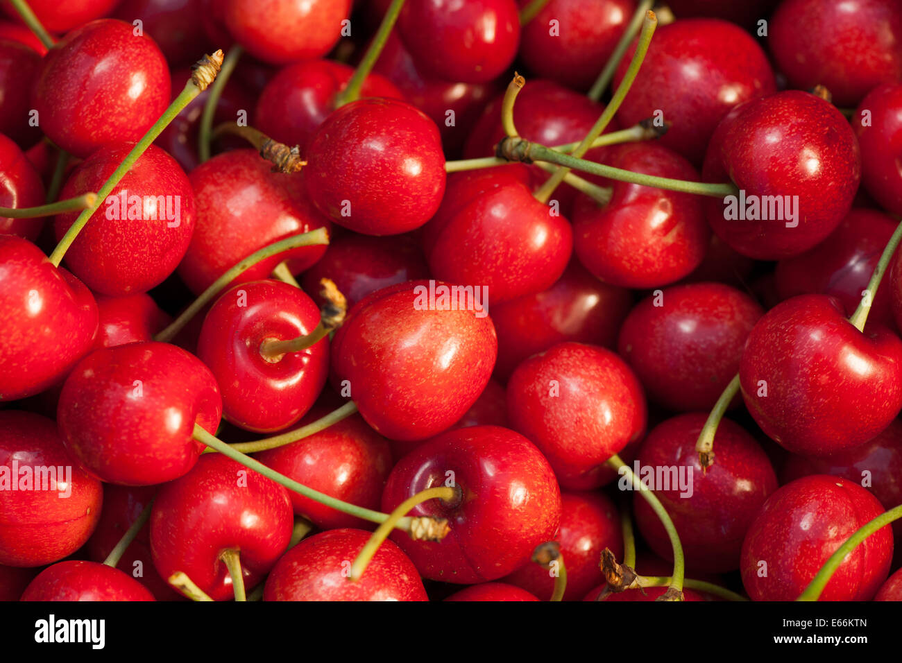 Red Cherry background texture Stock Photo
