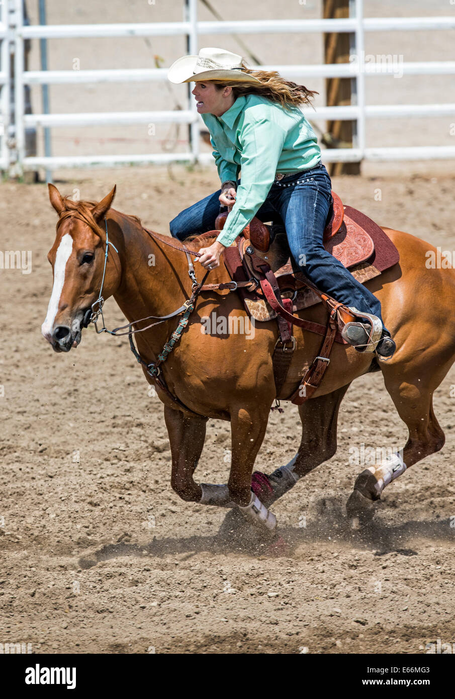 Cowgirl on horseback riding in the ladies barrel racing event, Chaffee