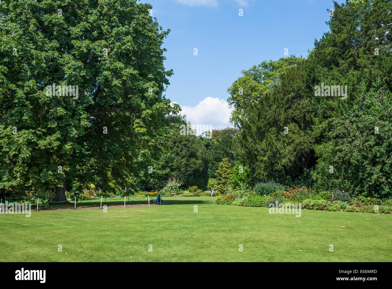 Cambridge college garden hires stock photography and images Alamy