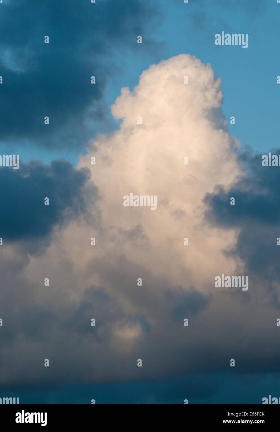 A large cumulus cloud rising upwards Stock Photo