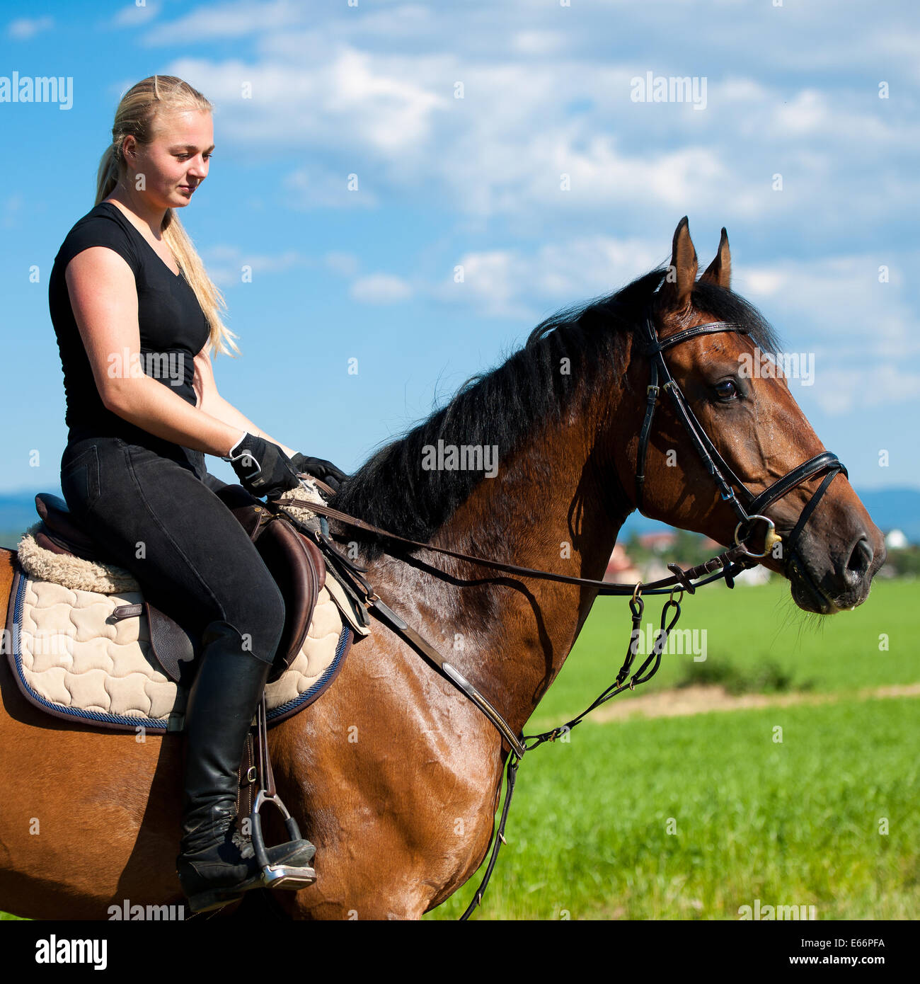 Beautiful young blonde woman riding a horse on a farm Stock Photo