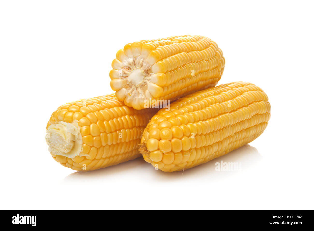 Corn Cobs with golden seed, full and split in half over white background with soft shadow Stock Photo