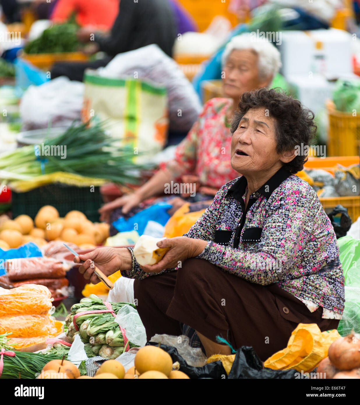 Market vendors in Busan vegetable market, South Korea Stock Photo Alamy