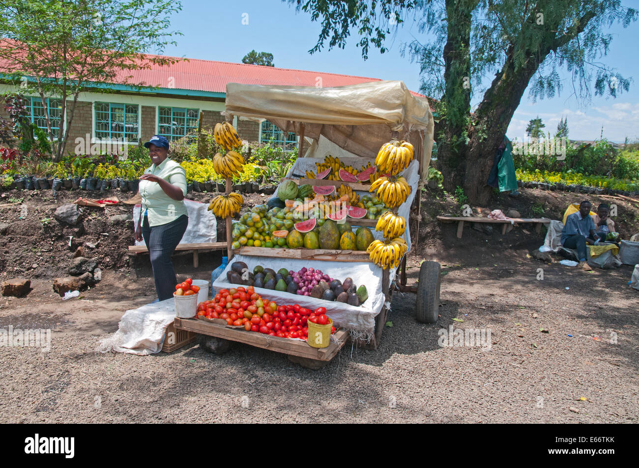 Woman at side of her market stall selling fruit bananas melons papaya avocados tomatoes on outskirts of Nakuru town Kenya Africa Stock Photo