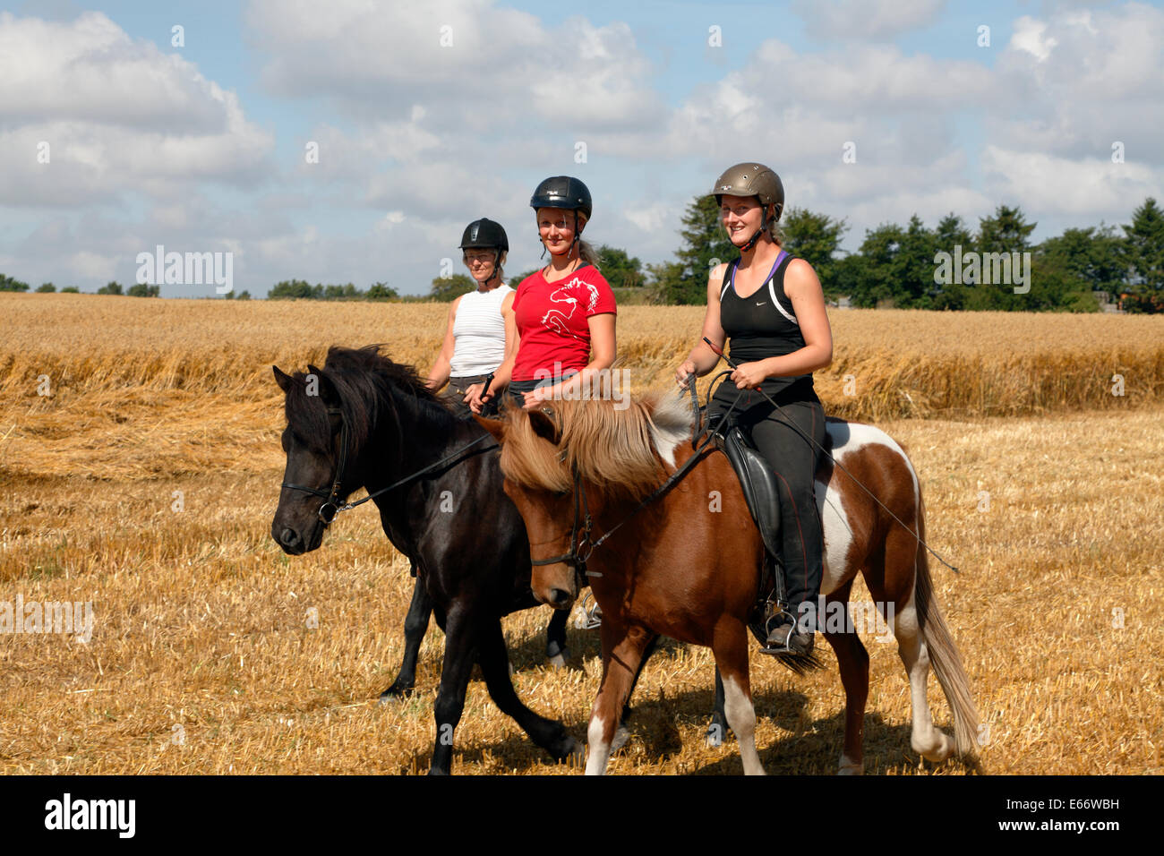 Three young women riding in a partly harvested wheat field in Allerød, Denmark Stock Photo