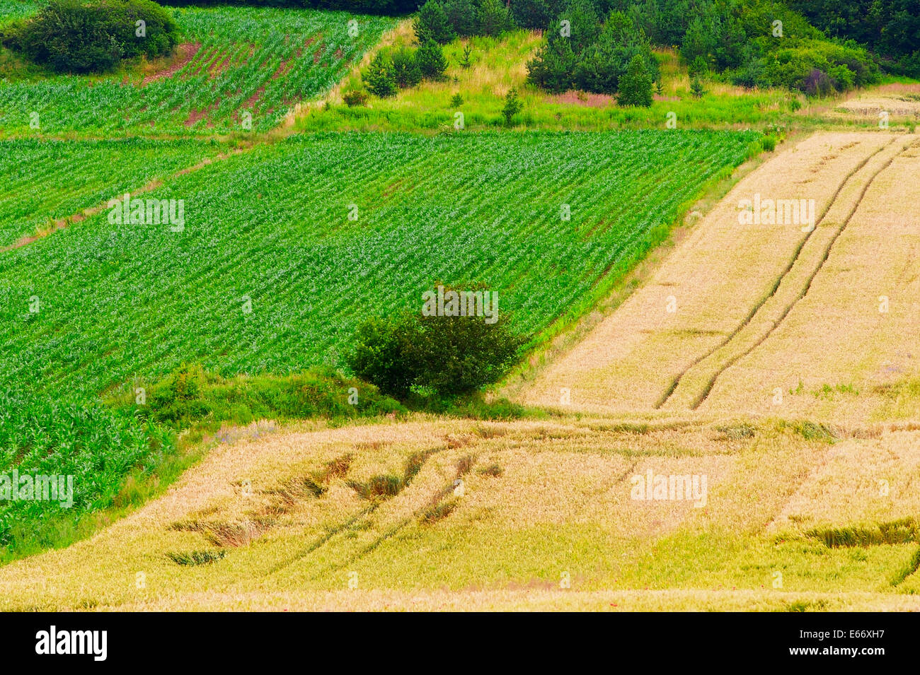 Rural landscape with farmlands near Cracow in southern Poland. Stock Photo