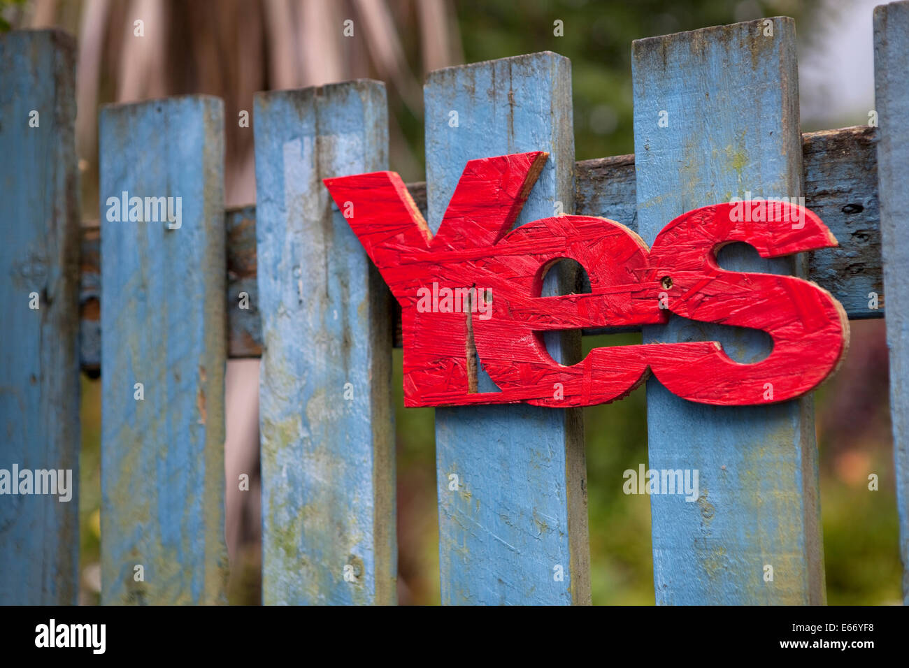 Red 'yes' nailed to a blue wooden gate in Scotland in support of Scottish Independence in 2014. Stock Photo