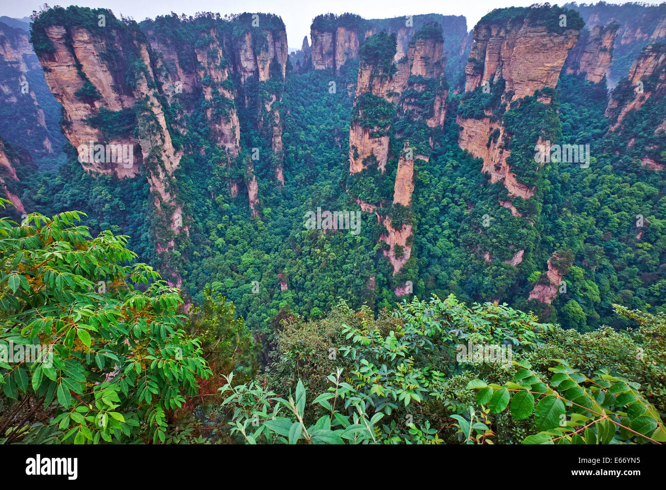 The site lies in the Wulingyuan District of the city of Dayong and covers the entire drainage basin of the Suoxi Brook, which wi Stock Photo