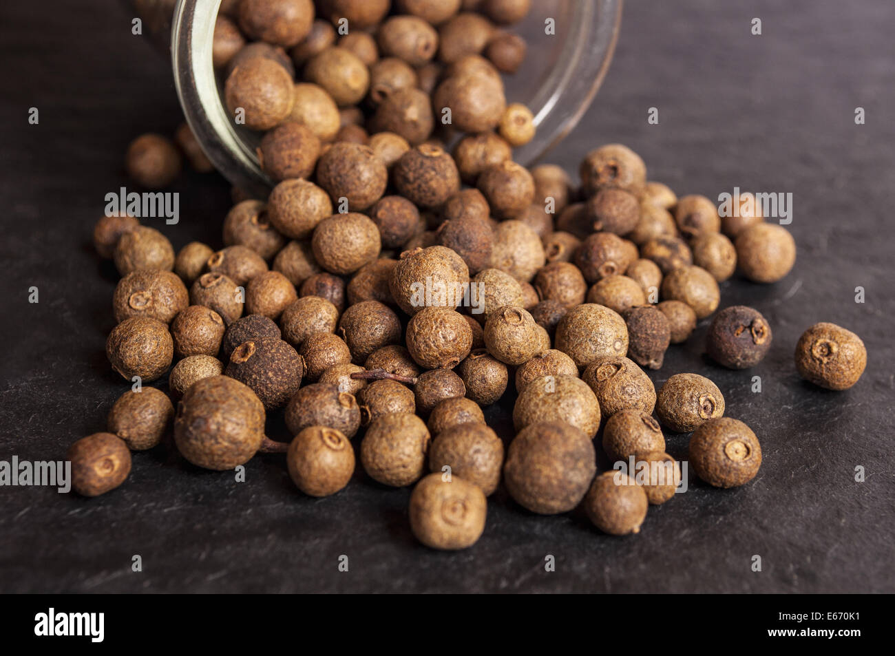 Allspice tree hires stock photography and images Alamy