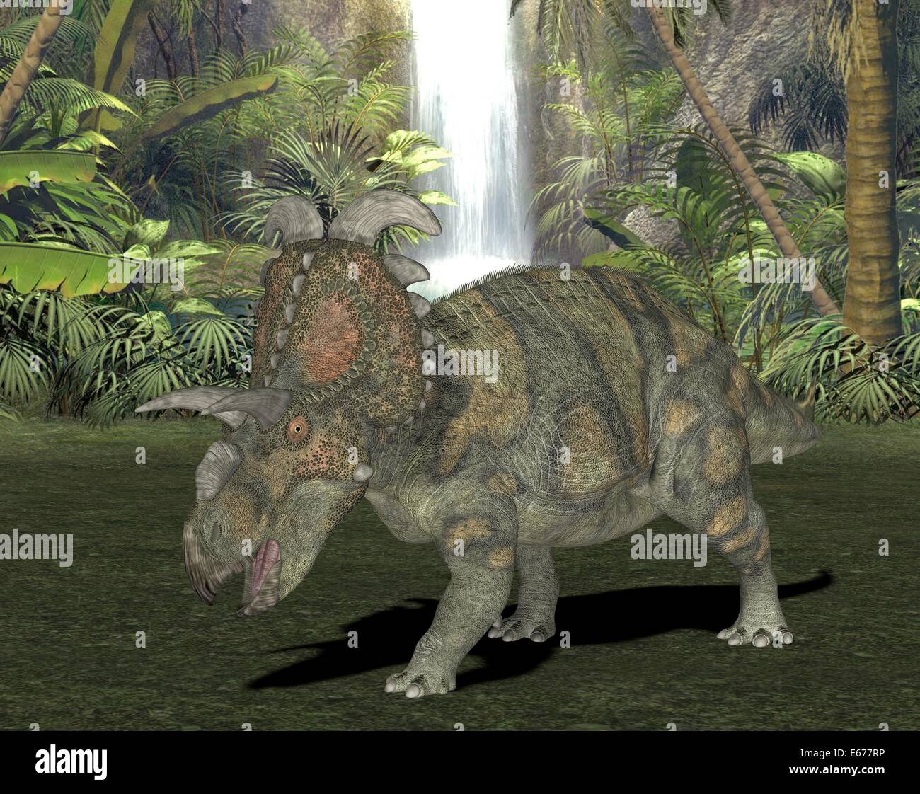 Dinosaurier Albertaceratops / dinosaur Albertaceratops Stock Photo