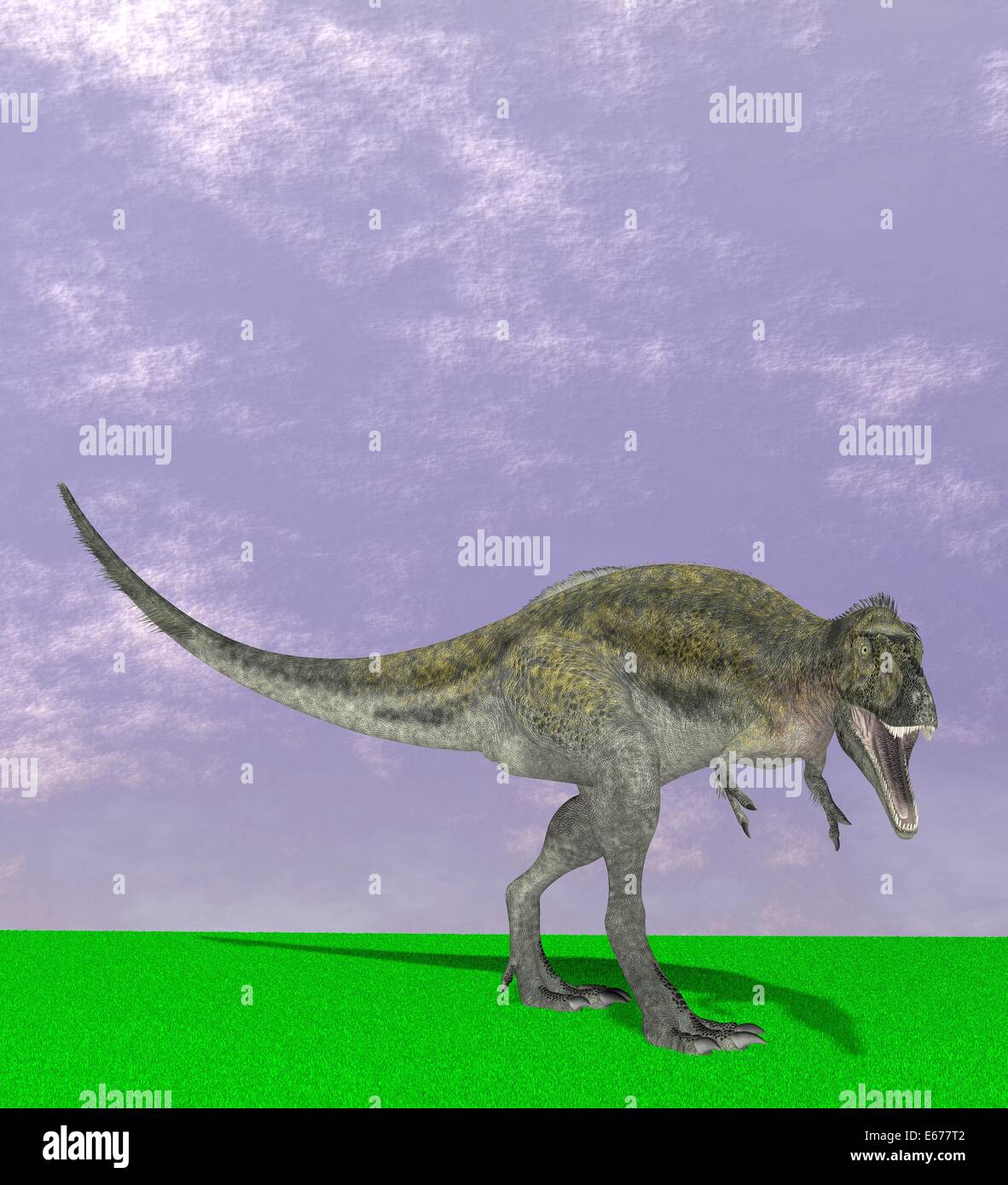 Dinosaurier Alioramus / dinosaur Alioramus Stock Photo