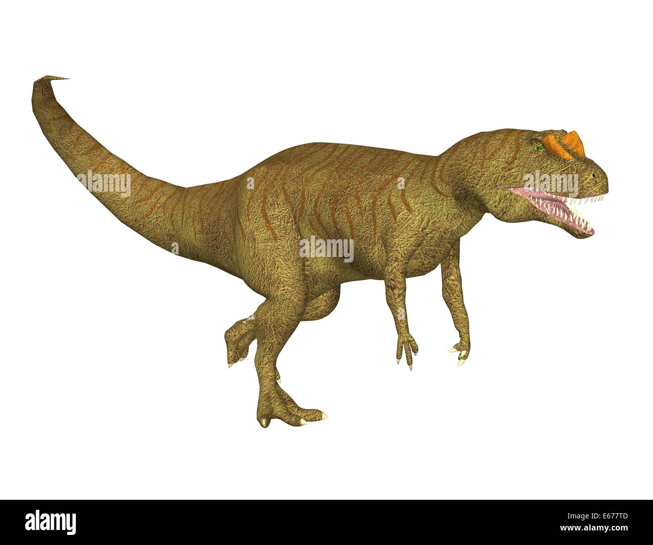 Dinosaur Pterodactyloidea Illustration Stock Illustration - Download Image  Now - Allosaurus, Ancient, Archaeology - iStock