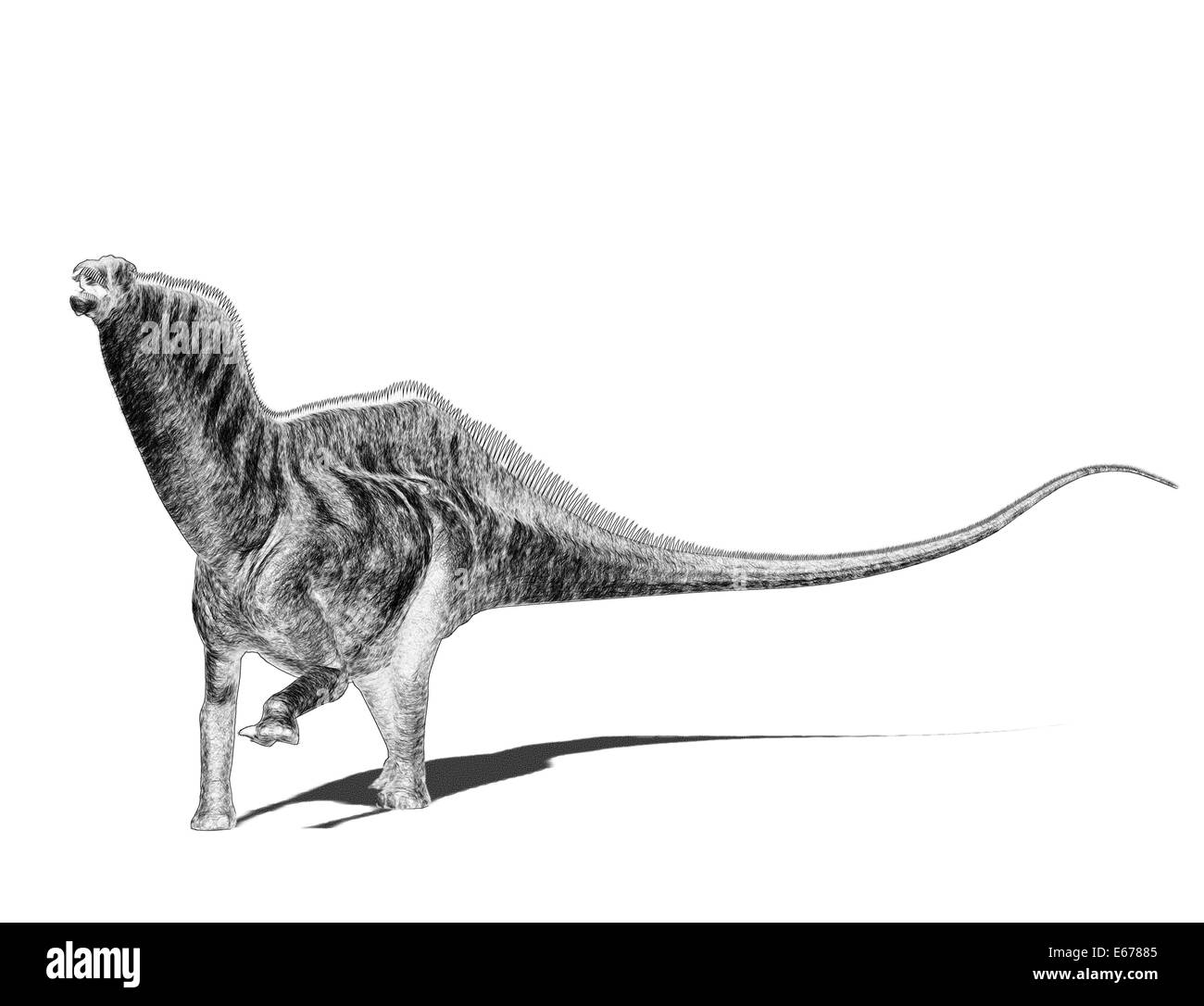 Dinosaurier Amargasaurus / dinosaur Amargasaurus Stock Photo
