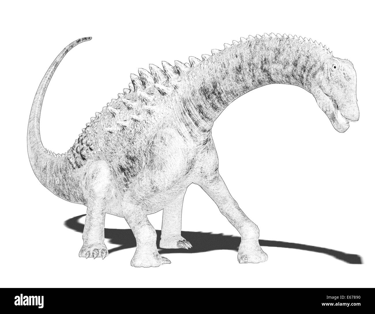 Dinosaurier Ampelosaurus / dinosaur Ampelosaurus Stock Photo