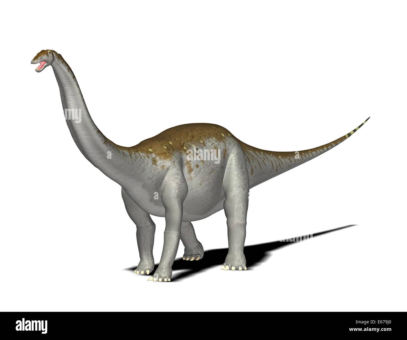 Dinosaurier Apatosaurus / dinosaur Apatosaurus Stock Photo