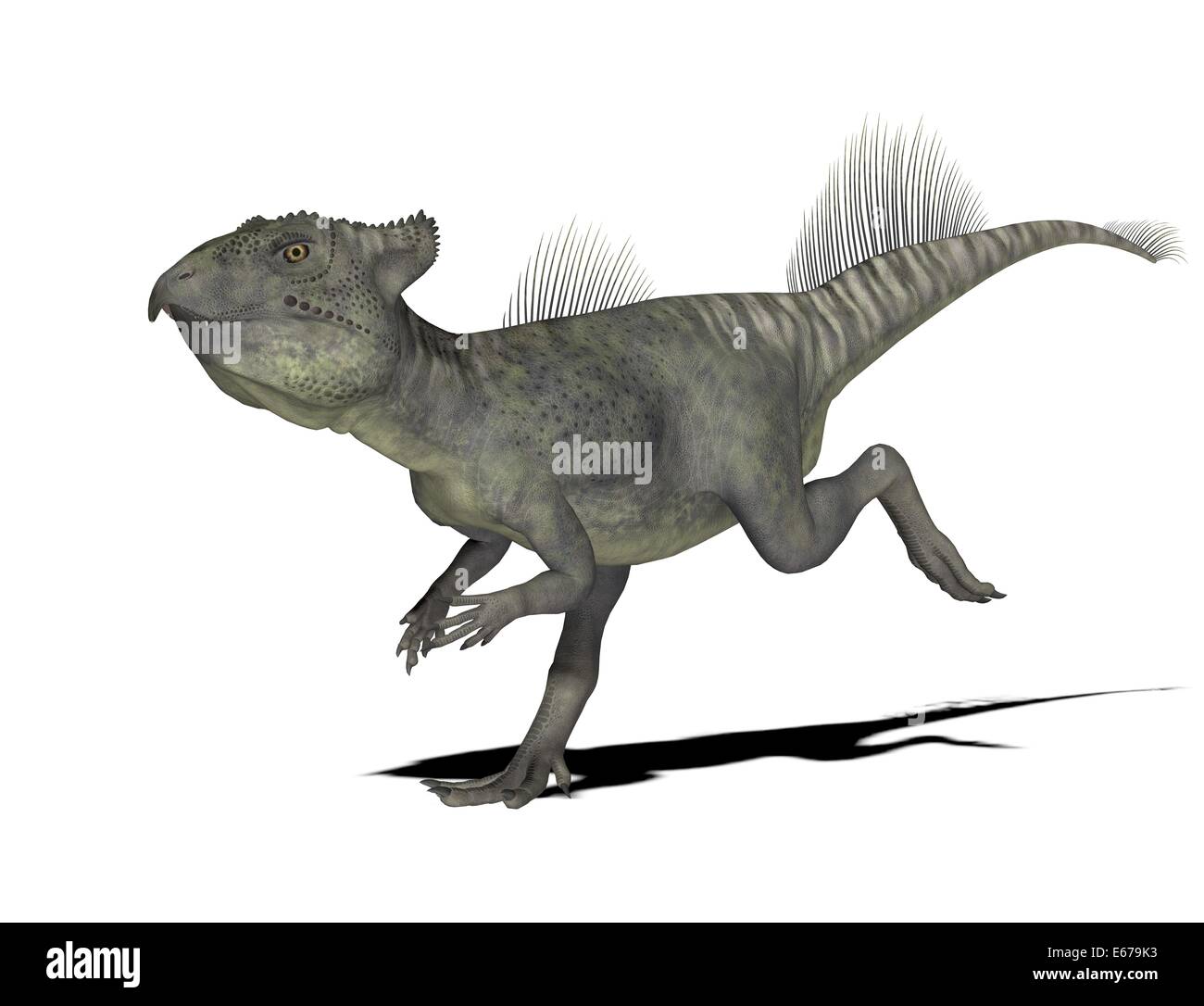 Dinosaurier Archaeoceratops / dinosaur Archaeoceratops Stock Photo