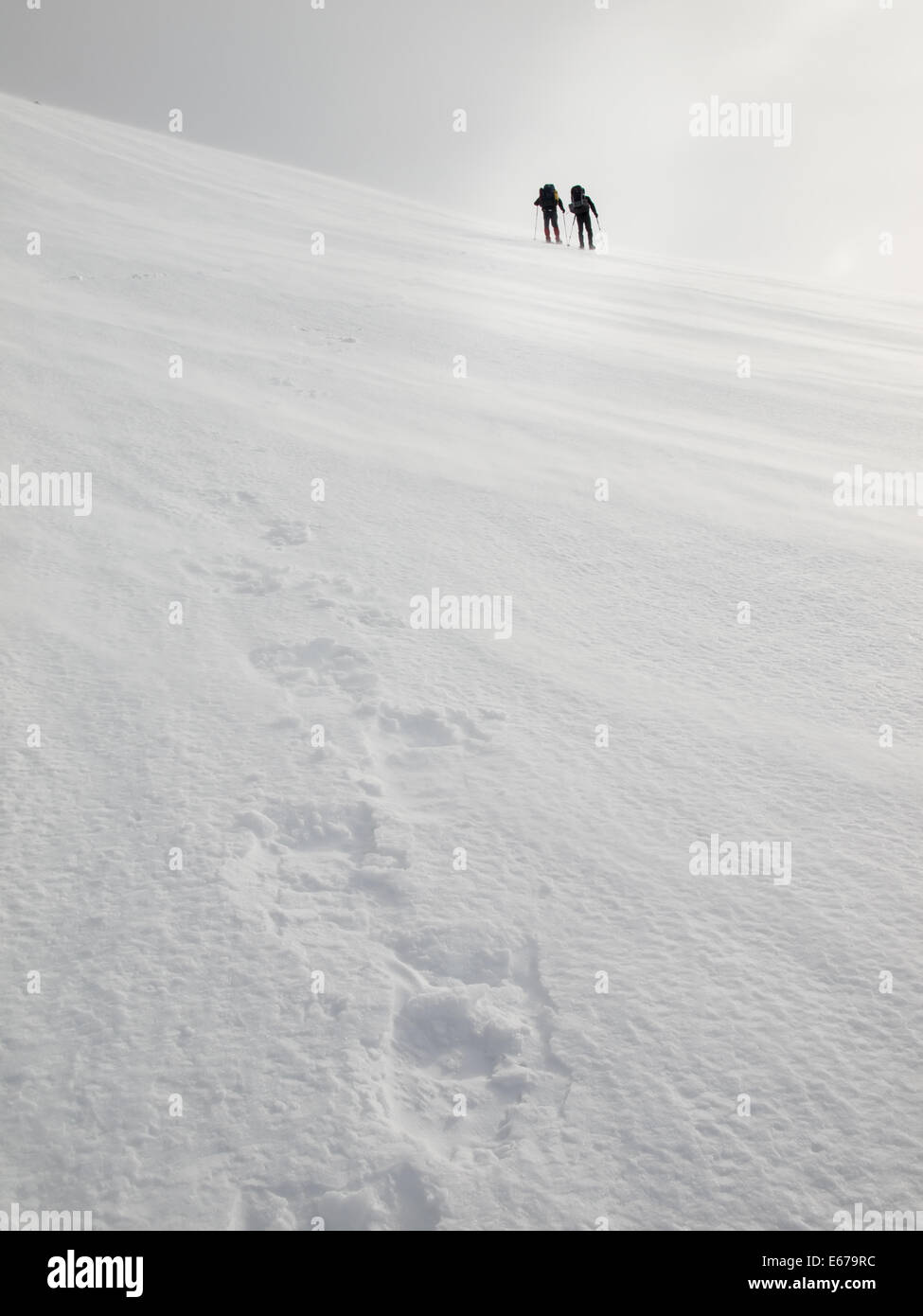 two men with heavy backpacks crossing a snowfield on snowshoes in  winter mountains with tracks in foreground Stock Photo