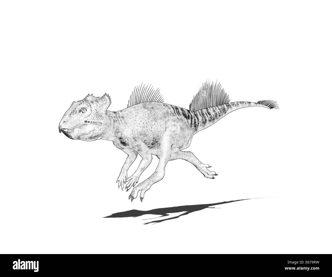 Dinosaurier Archaeoceratops / dinosaur Archaeoceratops Stock Photo