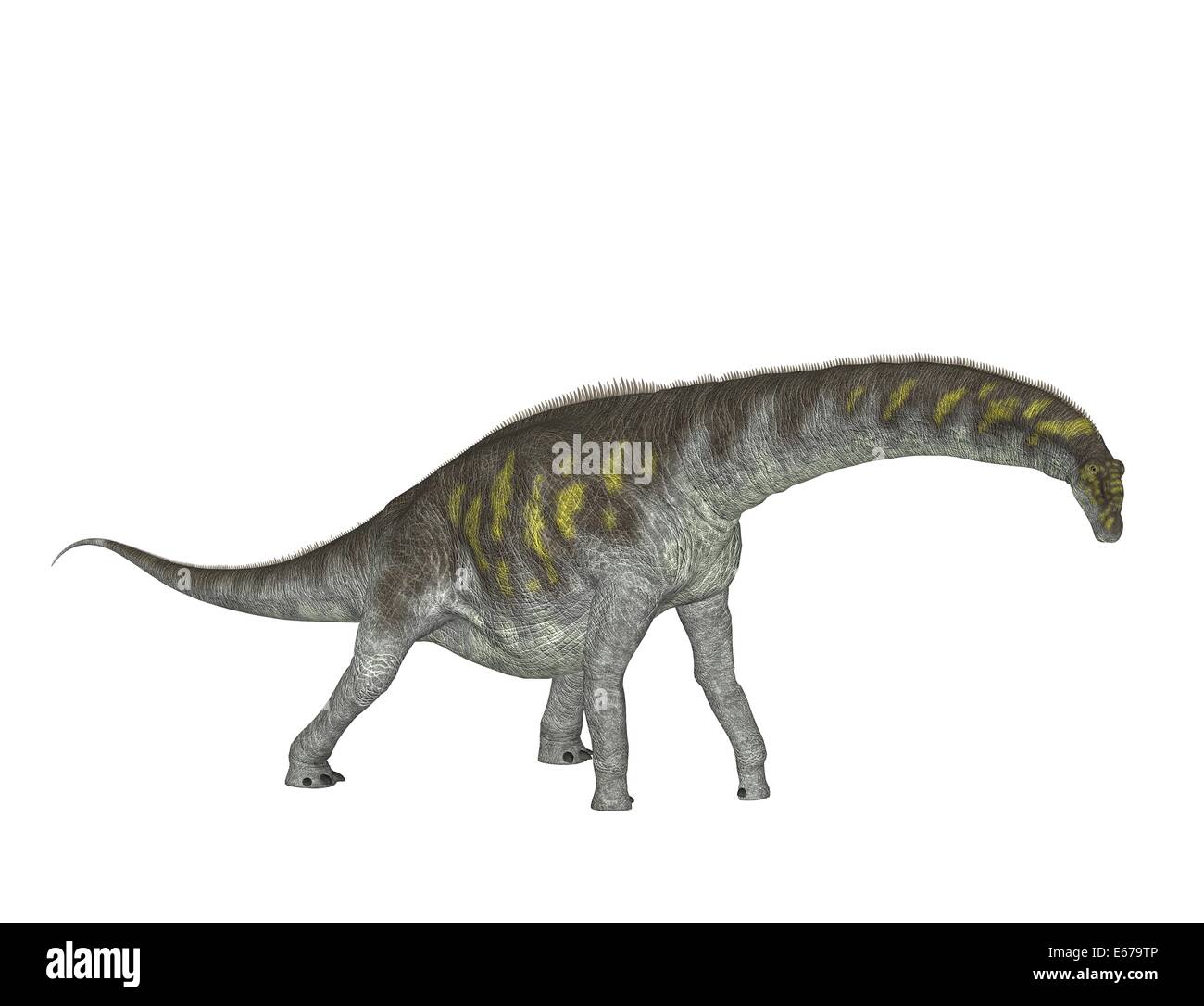 Dinosaurier Argentinosaurus / dinosaur Argentinosaurus Stock Photo
