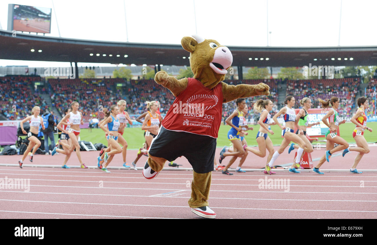 Zurich, Switzerland. 16th Aug, 2014. Mascot Cooly performes during the women's 5000m final at the European Athletics Championships 2014 at the Letzigrund stadium in Zurich, Switzerland, 16 August 2014. Photo: Rainer Jensen/dpa/Alamy Live News Stock Photo