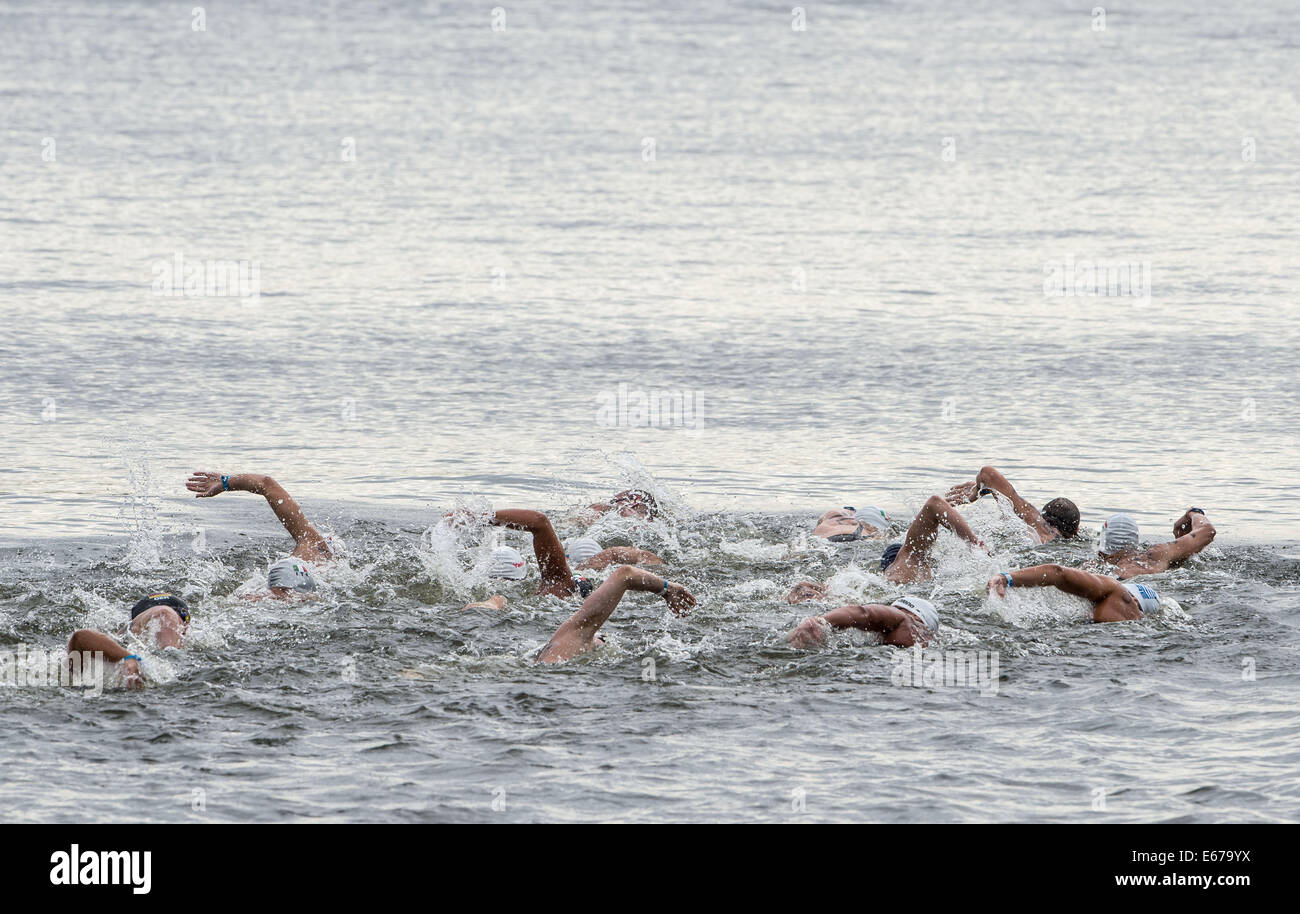 Berlin, Germany. 17th Aug, 2014. The swimmers compete in the men's 25km