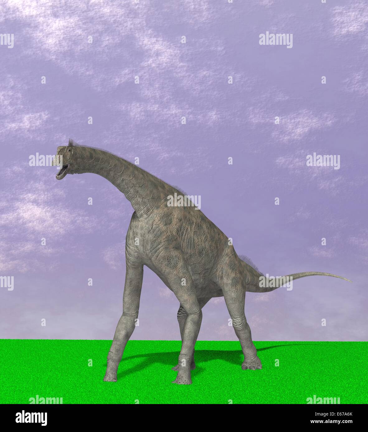 Dinosaur Atlasaurus sauropod slice Jurassic Morocco FSE185 ✔100%genuine✔UKseller 