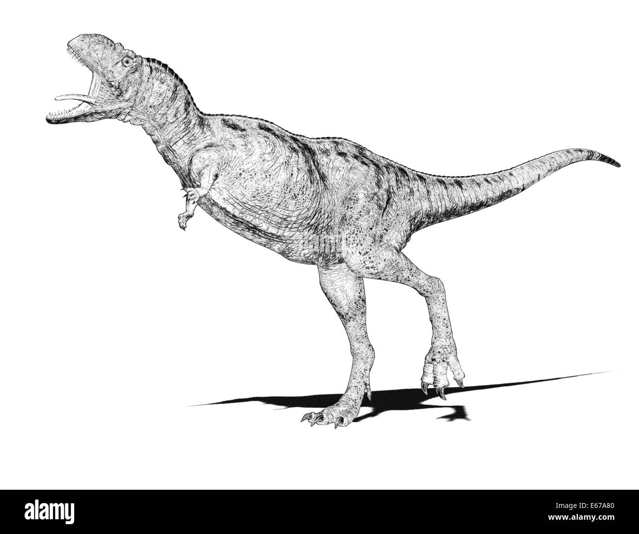 Dinosaurier Aucasaurus / dinosaur Aucasaurus Stock Photo