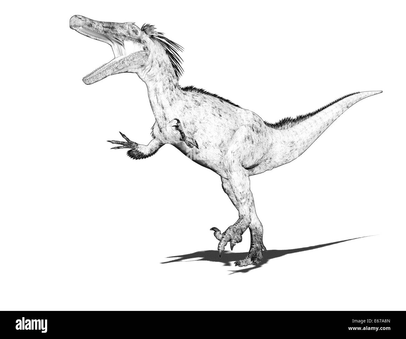 Dinosaurier Austroraptor / dinosaur Austroraptor Stock Photo