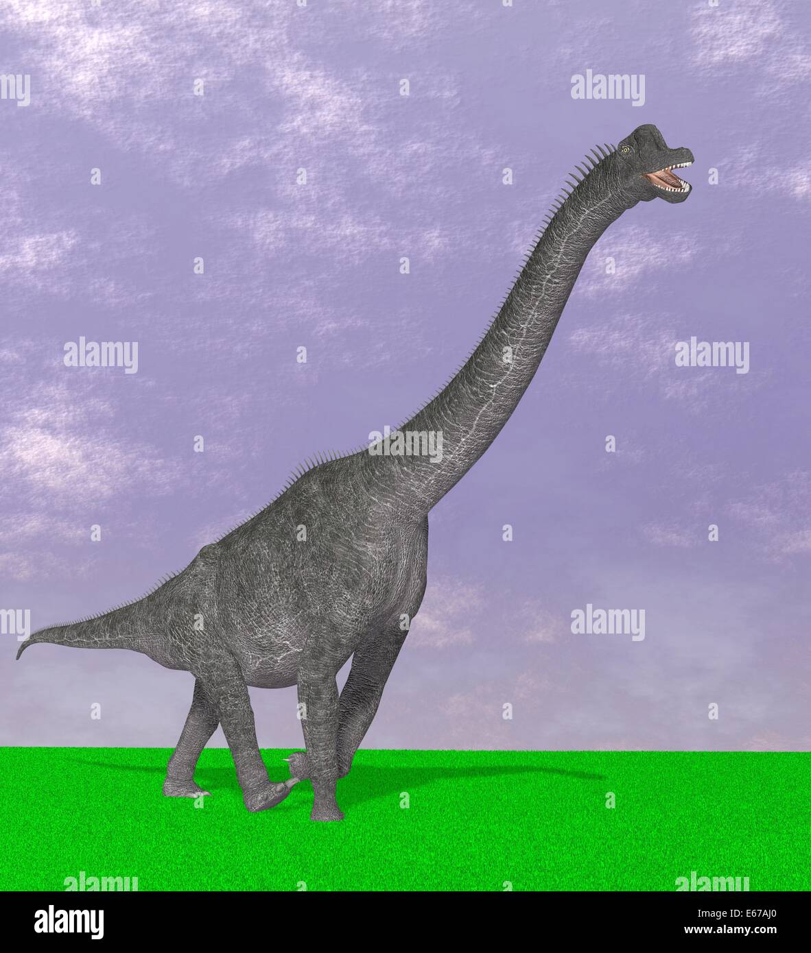 Dinosaurier Brachiosaurus / dinosaur Brachiosaurus Stock Photo