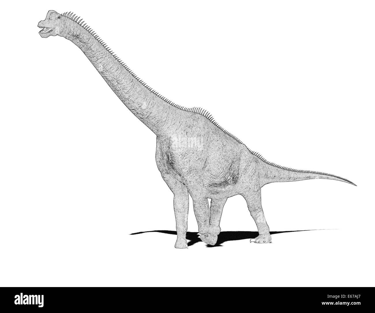 Dinosaurier Brachiosaurus / dinosaur Brachiosaurus Stock Photo