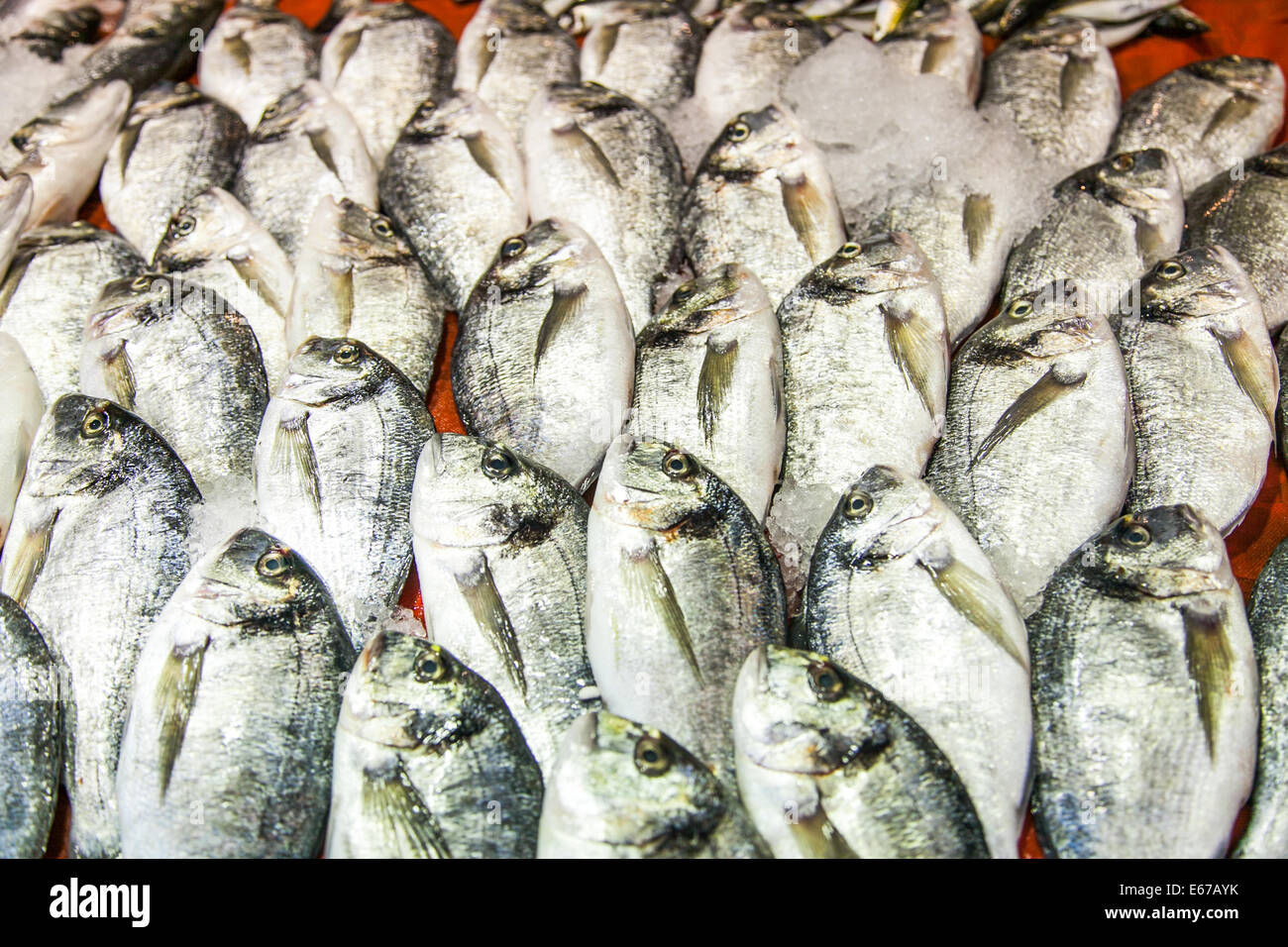 fish on a fish stall at the spice market in Istanbul Stock Photo