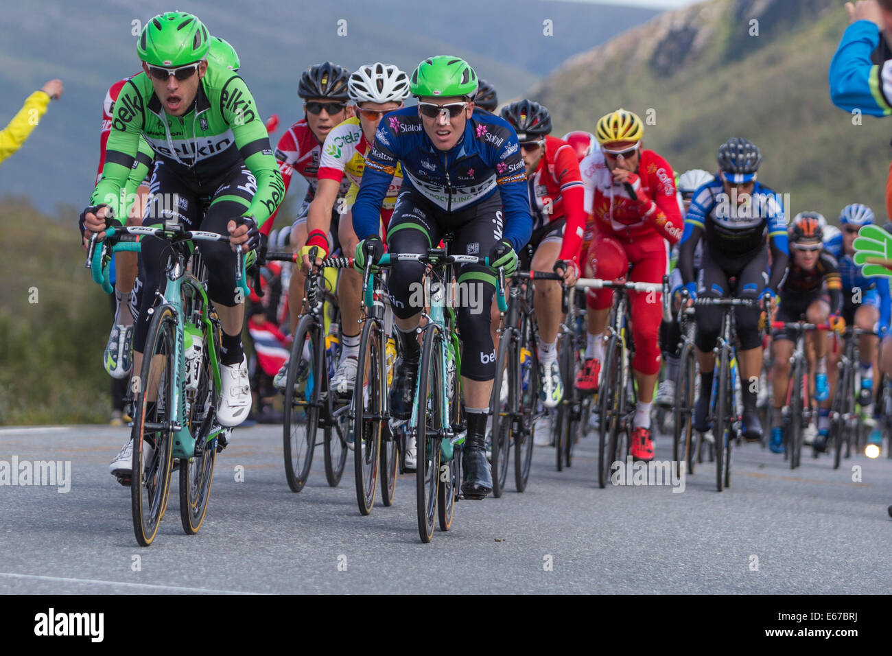 Tromsoe, Norway. 17th Aug, 2014. Arctic Race of Norway 2014, day 3 The peloton is passing during the 4th stage of Arctic Race of Norway. Steven Kruijswijk (Belkin Pro Cycling) with the blue leaders jersey on the right in front. The stage was 165km with start and finish in Tromsoe. Credit:  Radarfoto/Alamy Live News Stock Photo