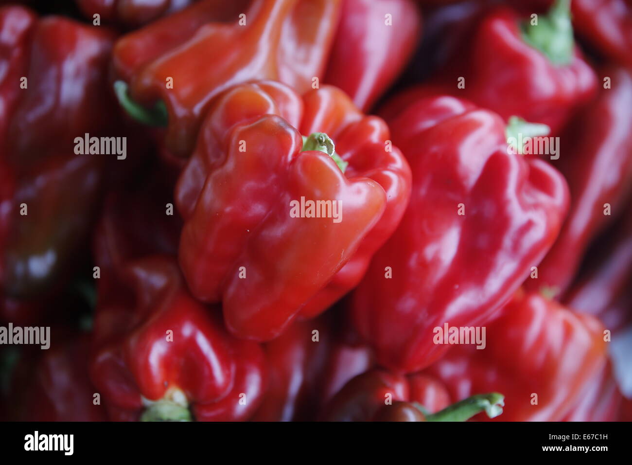 bloomington farmers market red peppers Stock Photo - Alamy
