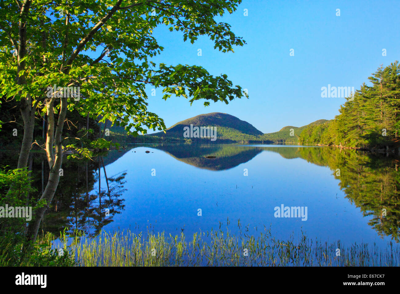 Eagle Lake Loop Carriage Road, Eagle Lake, Acadia National Park, Maine