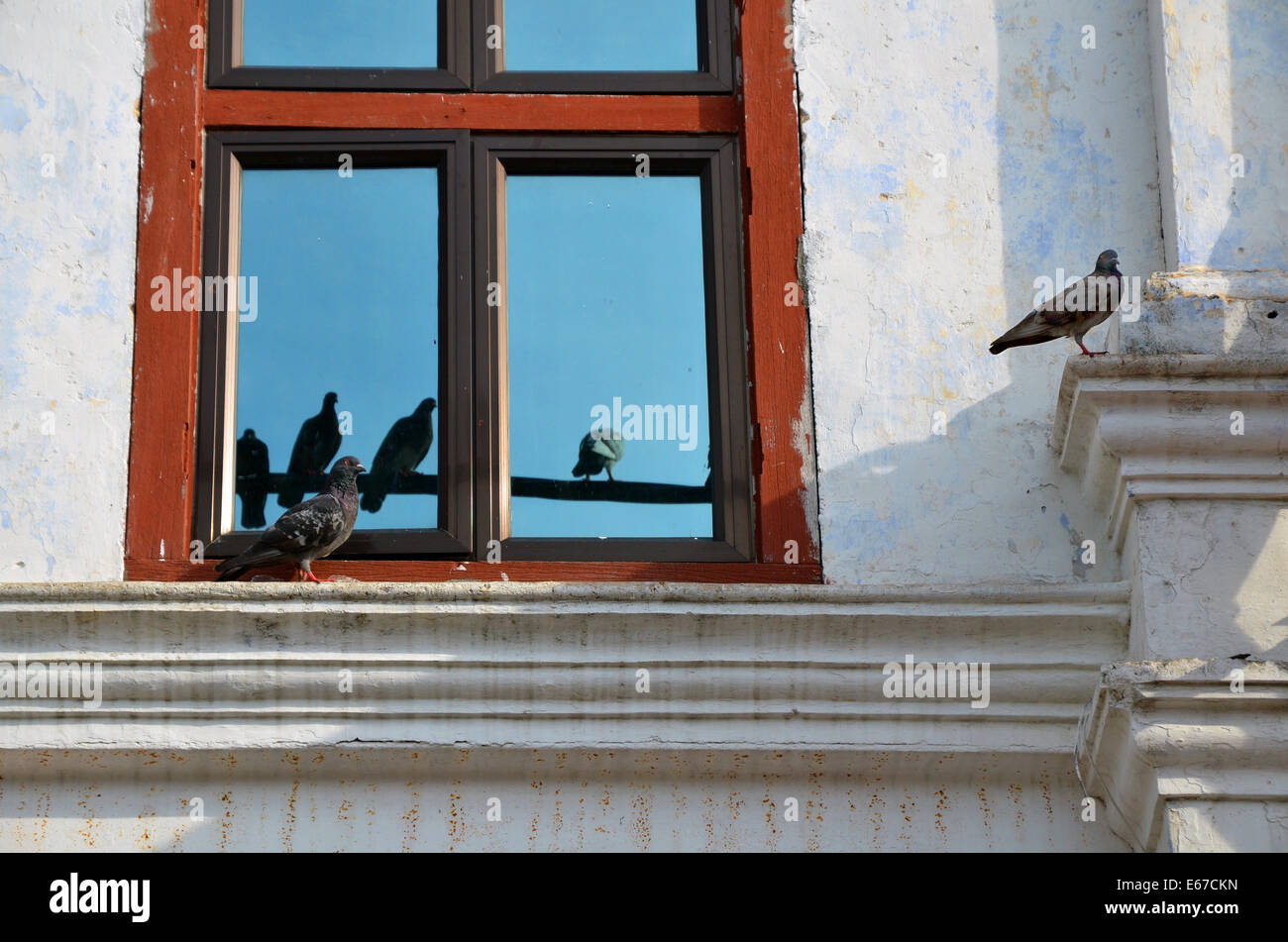 Reflections on window hi-res stock photography and images - Alamy