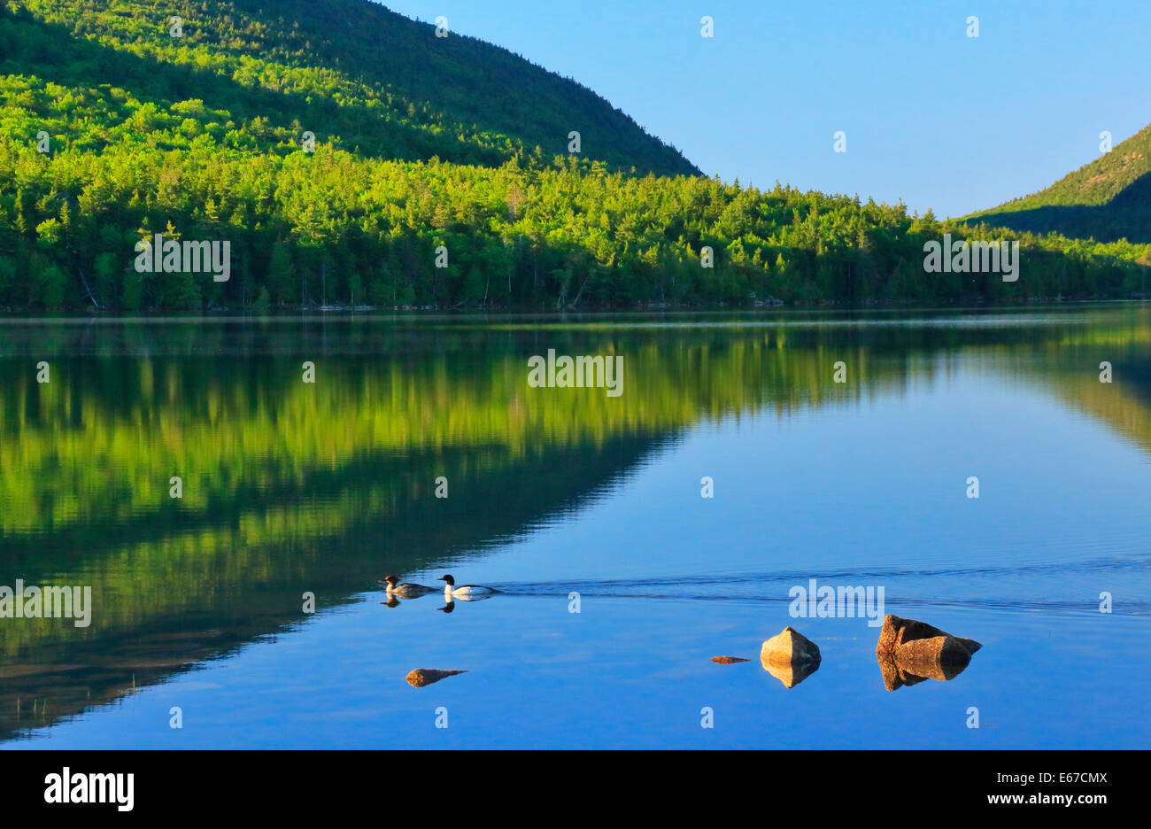 Eagle Lake Loop Carriage Road, Eagle Lake, Acadia National Park, Maine