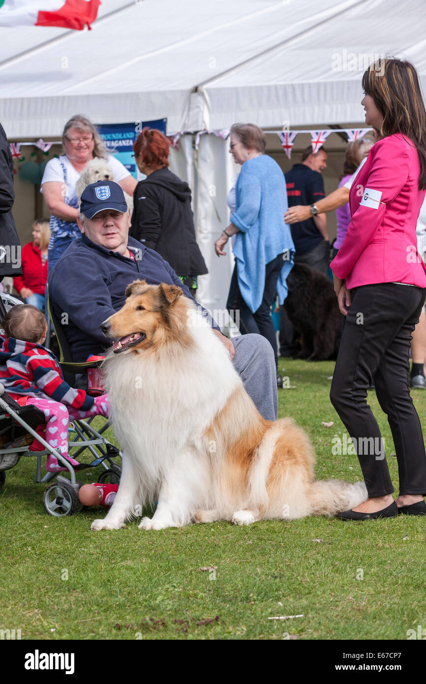 Billing aquadrome northampton 17th august hires stock photography and