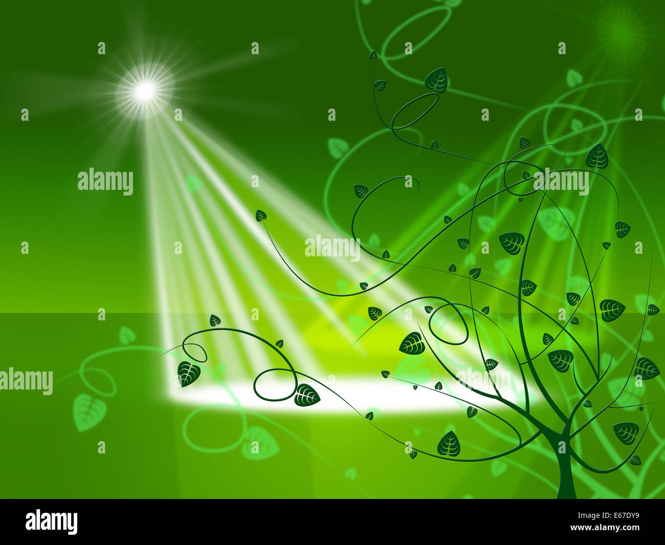 Spotlight Floral Meaning Stage Lights And Petals Stock Photo Alamy
