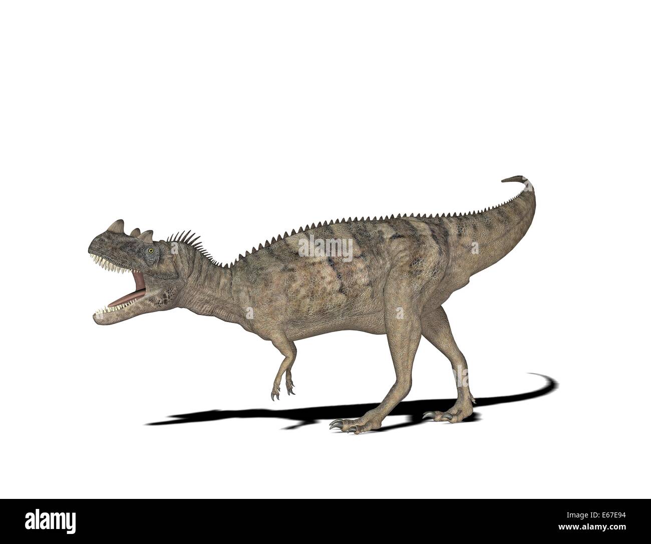 Dinosaurier Ceratosaurus / dinosaur Ceratosaurus Stock Photo