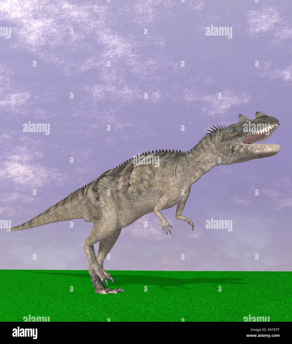 Dinosaurier Ceratosaurus / dinosaur Ceratosaurus Stock Photo - Alamy