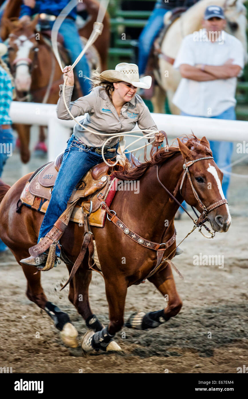 Cowgirl on horseback competes in the tie-down roping event, Chaffee County Fair & Rodeo Stock Photo