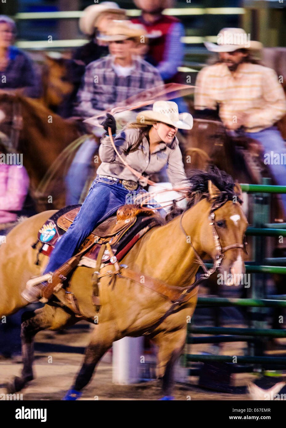 Cowgirl on horseback competes in the tie-down roping event, Chaffee County Fair & Rodeo Stock Photo