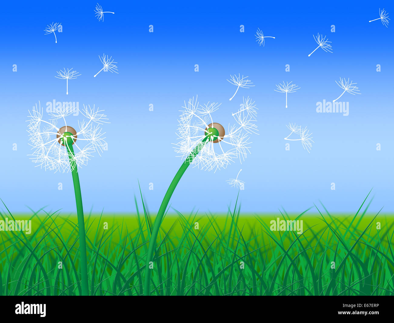 Dandelion Grass Meaning Grassland Field And Environment Stock Photo Alamy