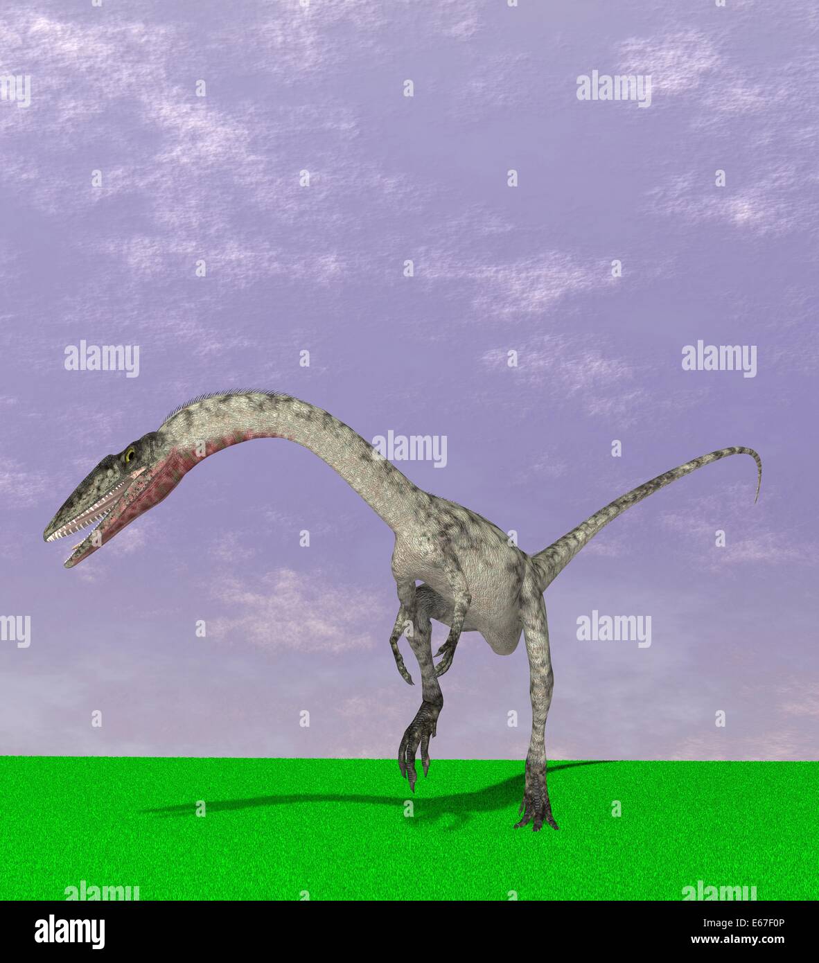 Dinosaurier Coelophysis / dinosaur Coelophysis Stock Photo