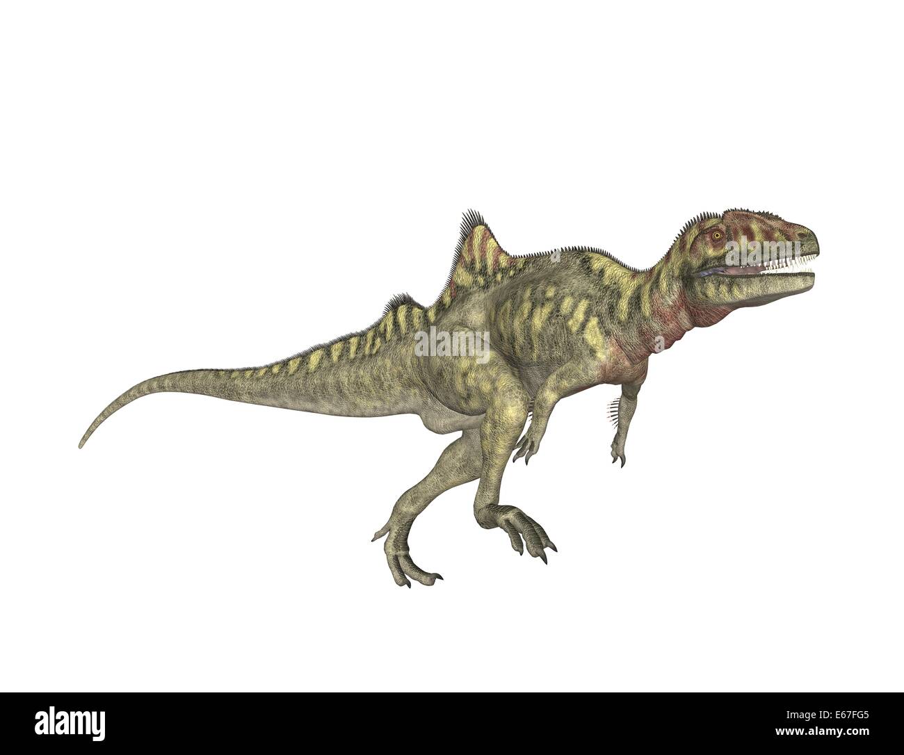 The Papo Concavenator Dinosaur Model Photographed