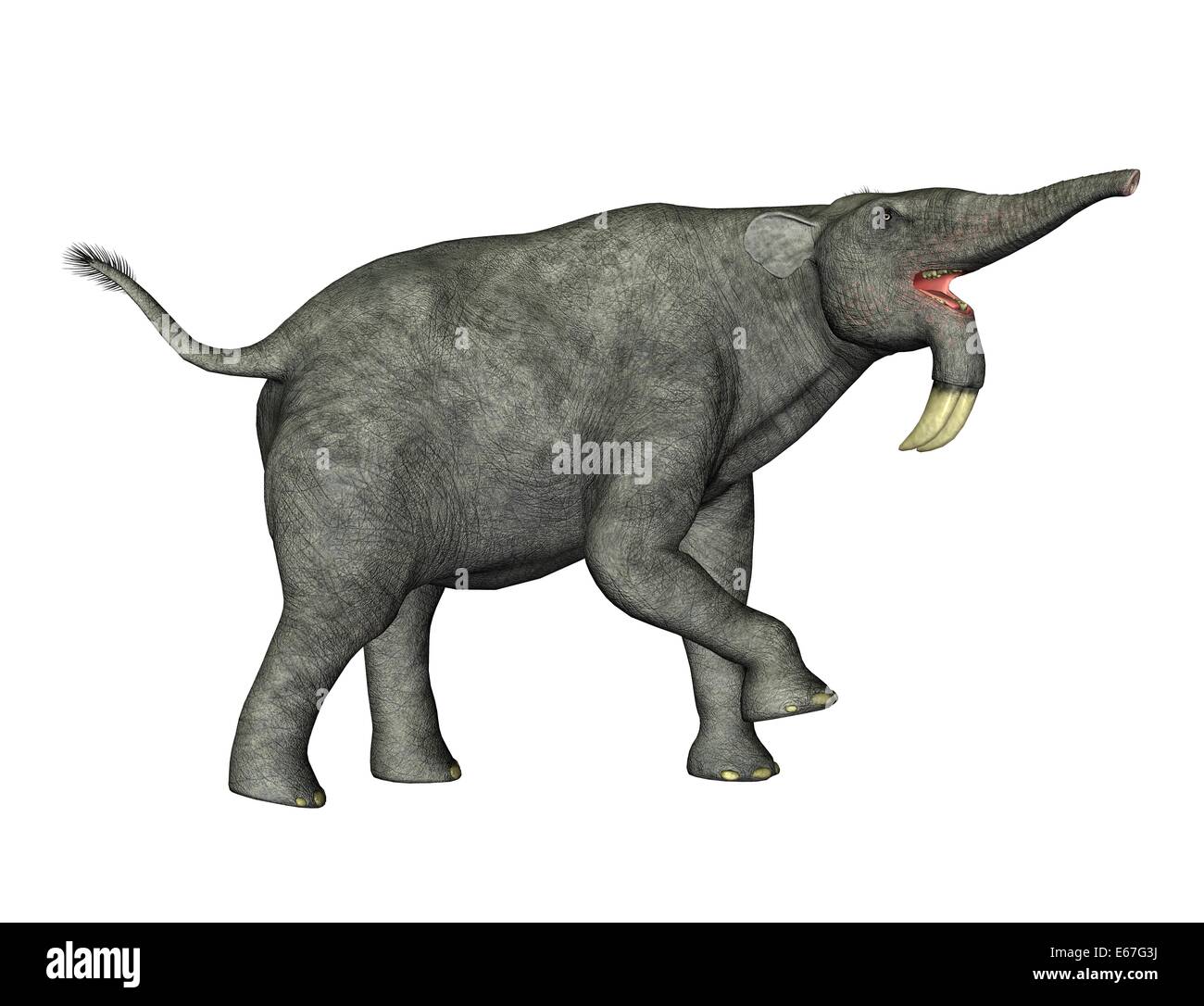 Deinotherium Royalty-Free Images, Stock Photos & Pictures