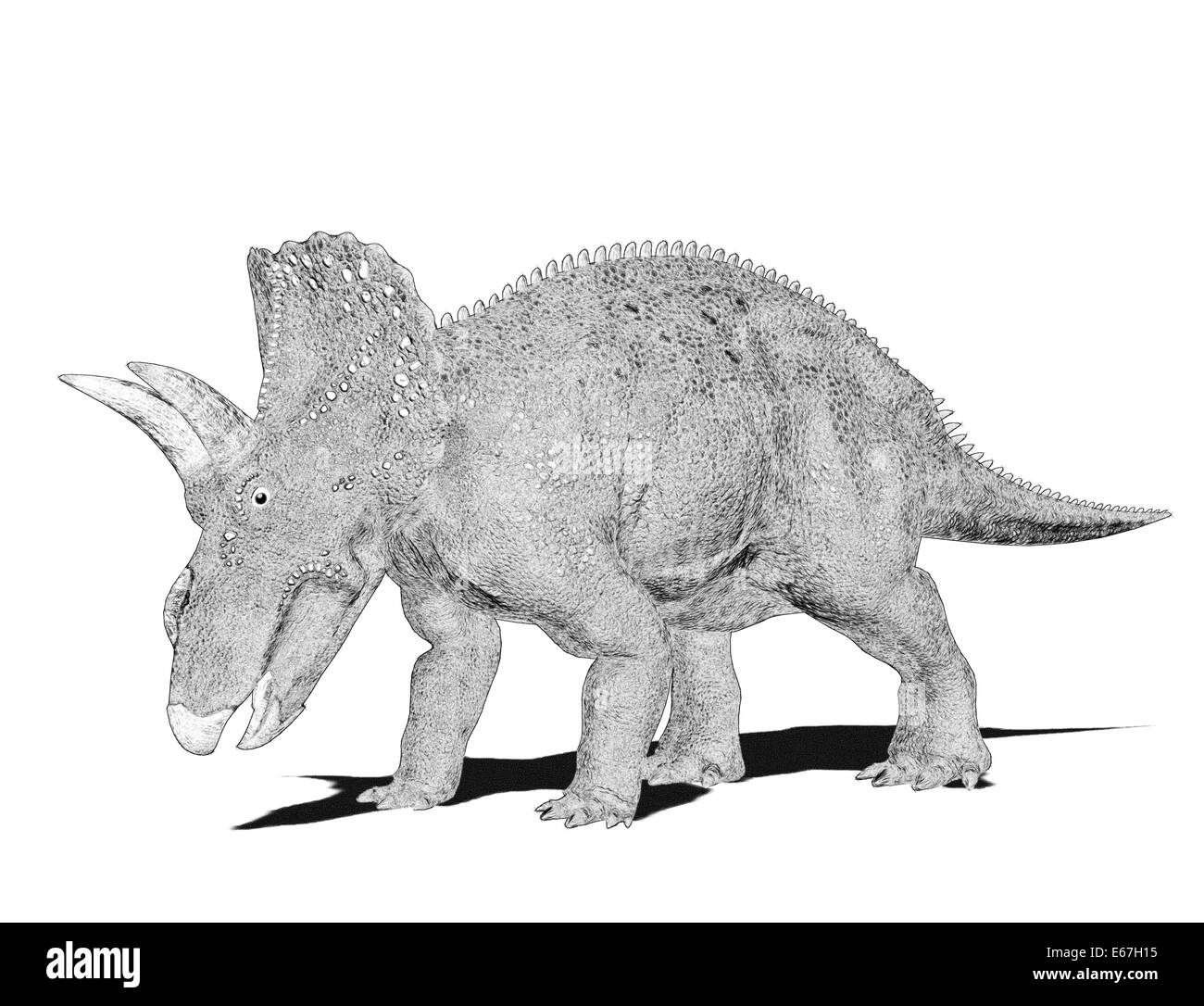 Dinosaurier Nedoceratops / dinosaur Nedoceratops Stock Photo